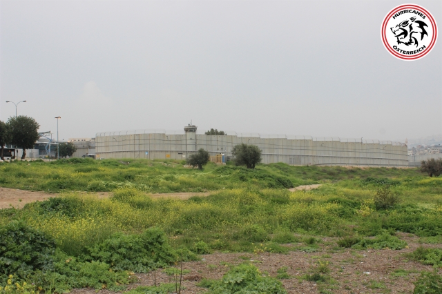 israel - oesterreich 24.3.2019 68